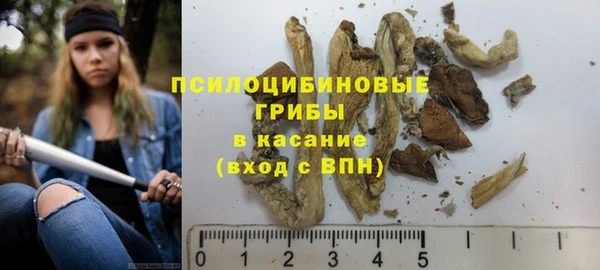 спайс Абаза